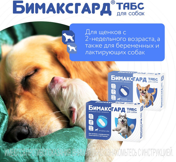 Изображение товара Таблетки от глистов Бимаксгард Табс Для крупных собак (2 таблетки)