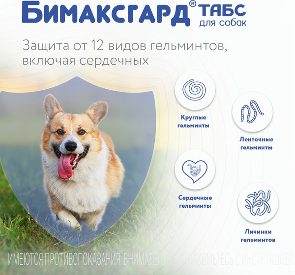 Изображение товара Таблетки от глистов Бимаксгард Табс Для крупных собак (2 таблетки)