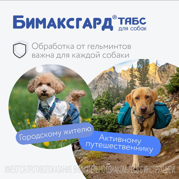 Изображение товара Таблетки от глистов Бимаксгард Табс Для крупных собак (2 таблетки)