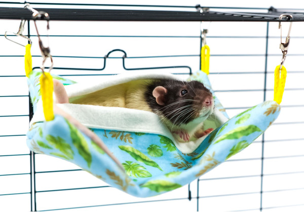 Изображение товара Лежак для грызунов Bambini Pets Квадратный спальный мешок / BMP517354