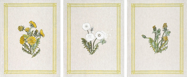 Изображение товара Набор полотенец Pole Kvetak (Беларускі лён) 46x60 24С112-ШР/рп/фкор/к. (1 Одуванчики-3 31/сорт1)