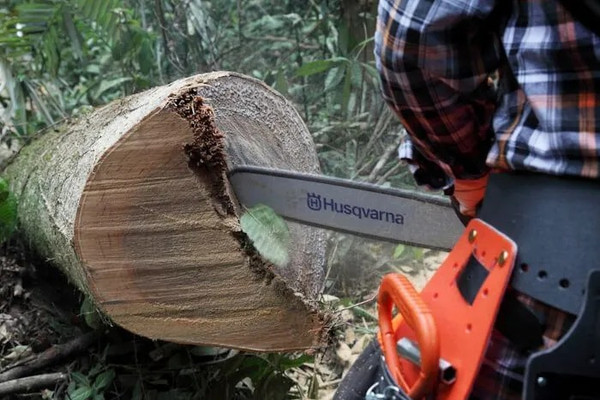 Изображение товара Бензопила цепная Husqvarna 56DL H42 X-Cut HLM X-Force / 967 08 21-15