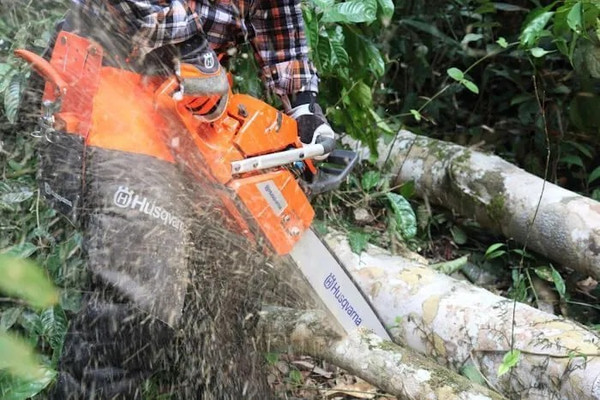 Изображение товара Бензопила цепная Husqvarna 56DL H42 X-Cut HLM X-Force / 967 08 21-15