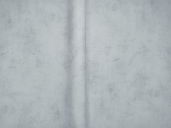 Изображение товара Виниловые обои Vimala Бетон 13470