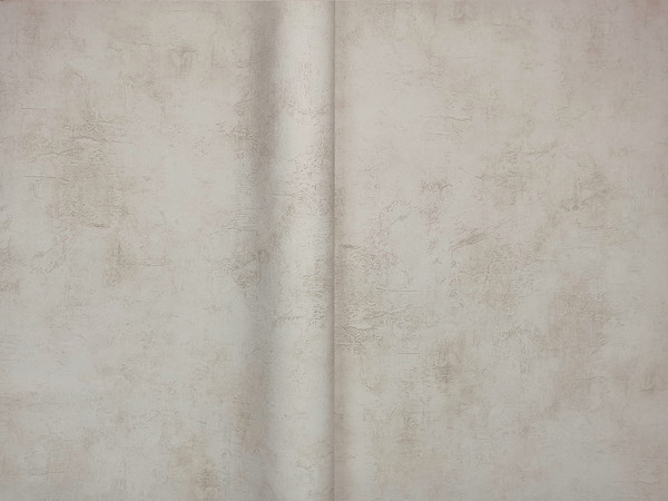 Изображение товара Виниловые обои Vimala Бетон 13471