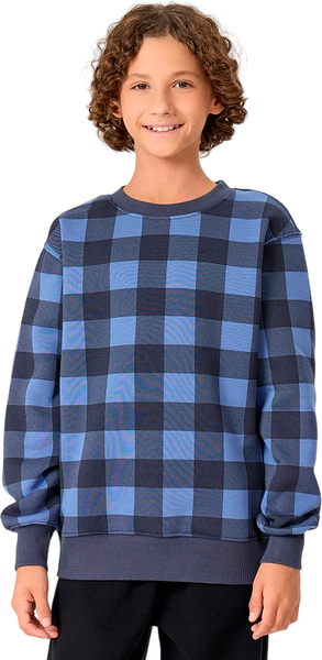 Изображение товара Свитшот детский Mark Formelle 123431/1 (р.128-64, клетка на синем)