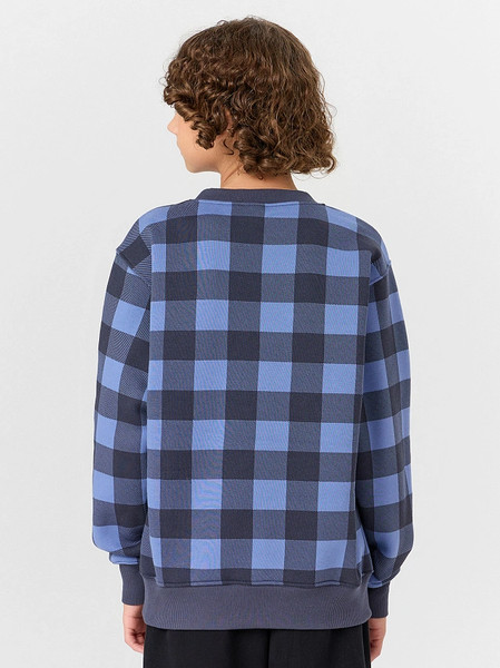 Изображение товара Свитшот детский Mark Formelle 123431/1 (р.134-68, клетка на синем)