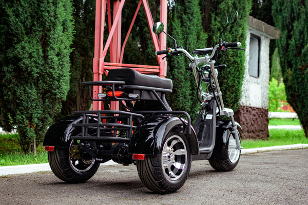 Изображение товара Электроскутер AVM Citycoco Axel 2000 (черный)