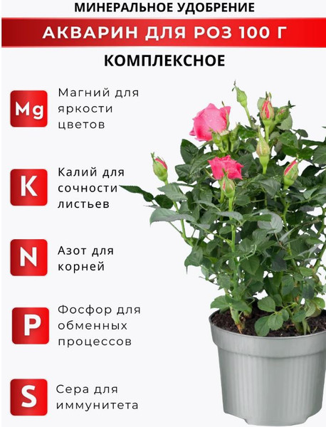 Изображение товара Удобрение Акварин Для Роз (500г)