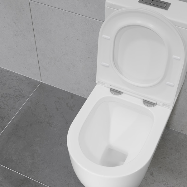 Изображение товара Унитаз напольный Lauter Rimless 21D2202