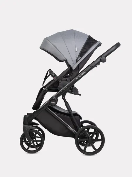 Изображение товара Детская универсальная коляска Riko Montana 2 в 1 (52, серый)