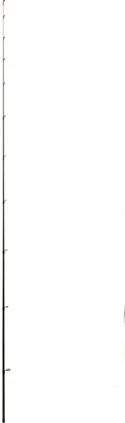 Изображение товара Удилище Dayo Everlast 18502-40-3м тест 40г / 14625 (3+3)