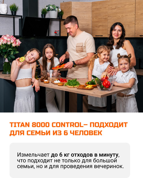 Изображение товара Измельчитель отходов Bort Titan 8000 Control (93417913)