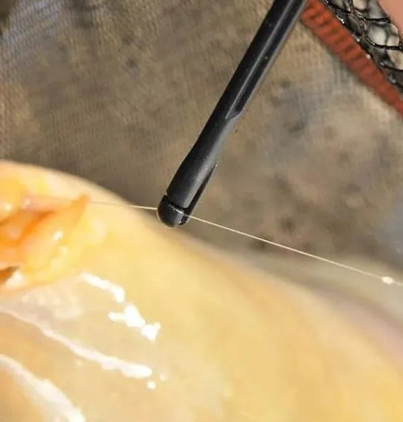 Изображение товара Экстрактор рыболовный Guru Conti Disgorger / GD1