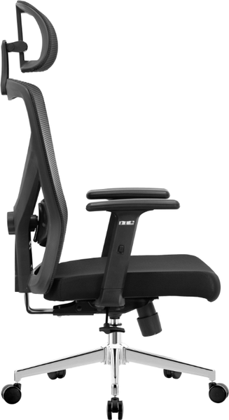Изображение товара Кресло офисное Evolution ErgoLine 2