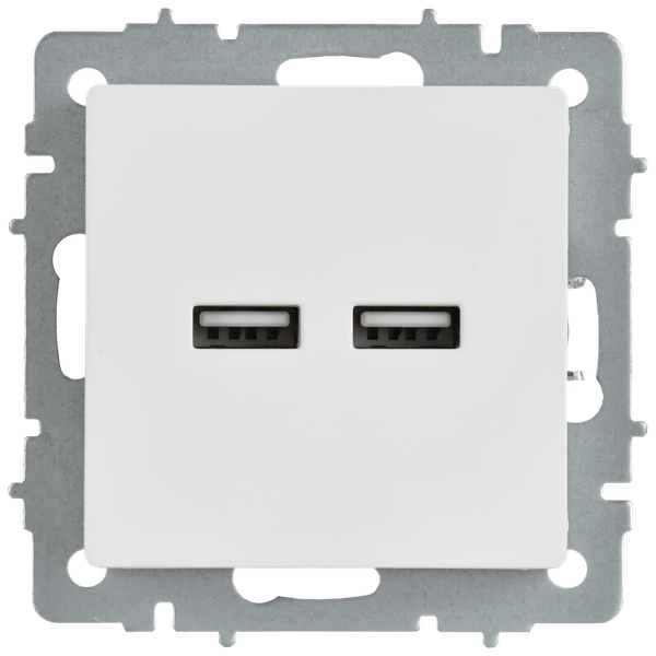 Изображение товара Розетка IEK Brite BR-U21-D31-K91 (арктический белый)