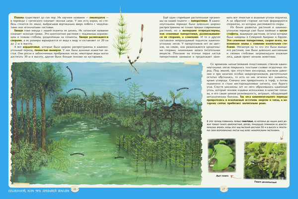 Изображение товара Энциклопедия Эксмо Большая энциклопедия о больших динозаврах, твердая обложка (Занонцелли Анастасия)