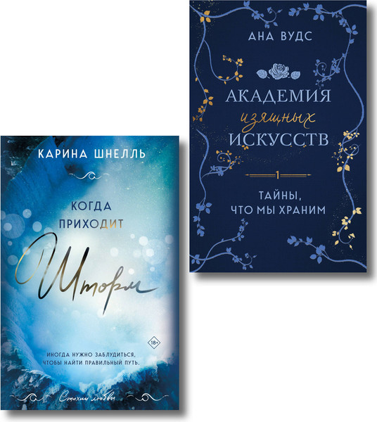 Изображение товара Набор книг Эксмо Тайны, что мы храним. Когда приходит шторм (Вудс Ана, Шнелль Карина 9785042237720)