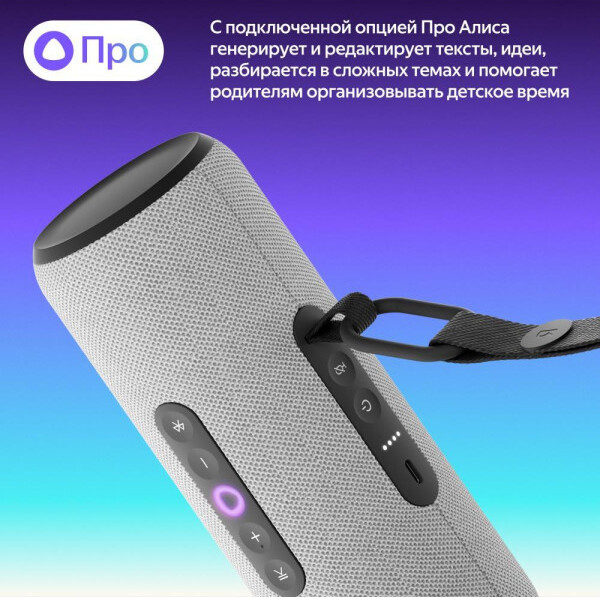 Изображение товара Умная портативная колонка Яндекс Станция Стрит YNDX-00030GRY (серый)