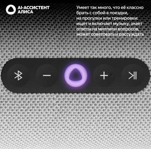 Изображение товара Умная портативная колонка Яндекс Станция Стрит YNDX-00030GRY (серый)