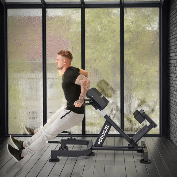 Изображение товара Гиперэкстензия DFC Maxxus GSMX-600080-00019-0001