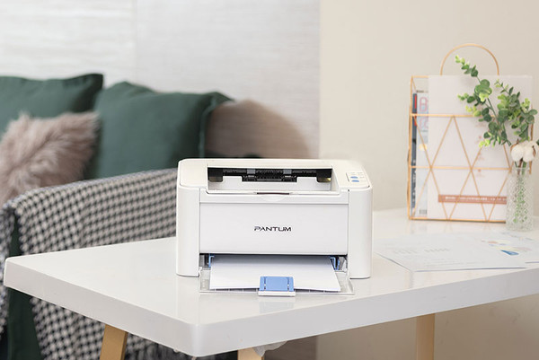 Изображение товара Принтер Pantum P2518 + Картридж PL-C211PB