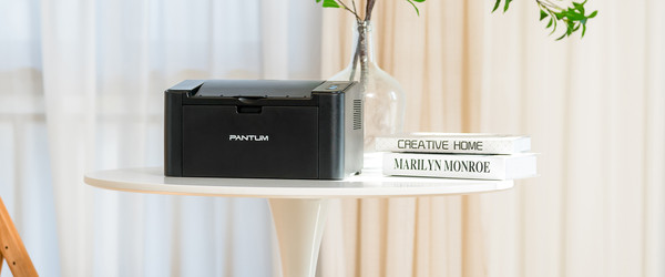 Изображение товара Принтер Pantum P2516 + Картридж PL-C211PB