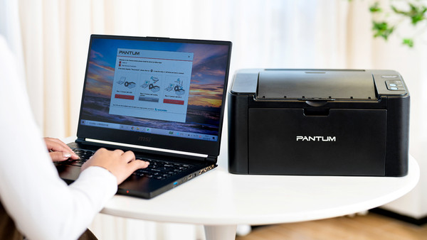 Изображение товара Принтер Pantum P2516 + Картридж PL-C211PB