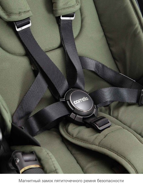 Изображение товара Детская универсальная коляска Carrello Vector 2 в 1 CRL-6551 (Field Green)