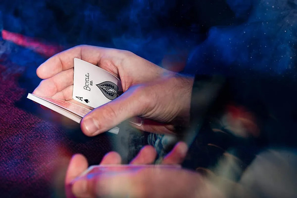 Изображение товара Игральные карты Bicycle 54 Rider Back / 4798089 (черный)