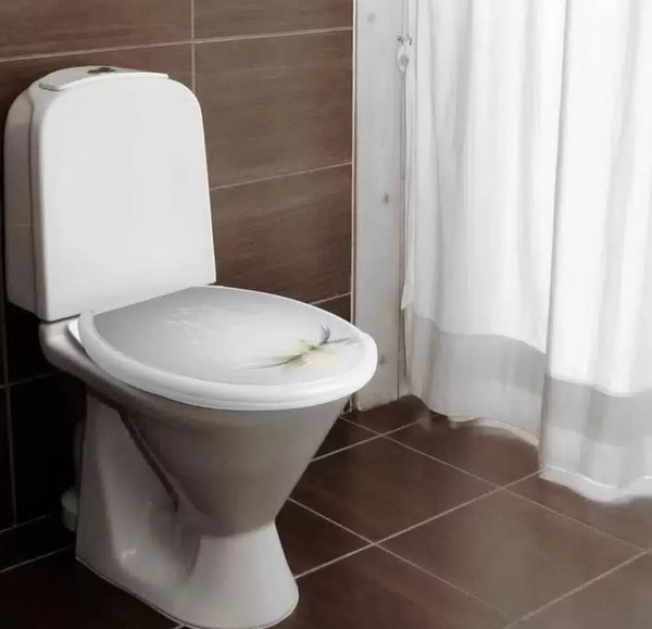 Изображение товара Крышка для унитаза Русспласт Лотос / РП-813 (белый)