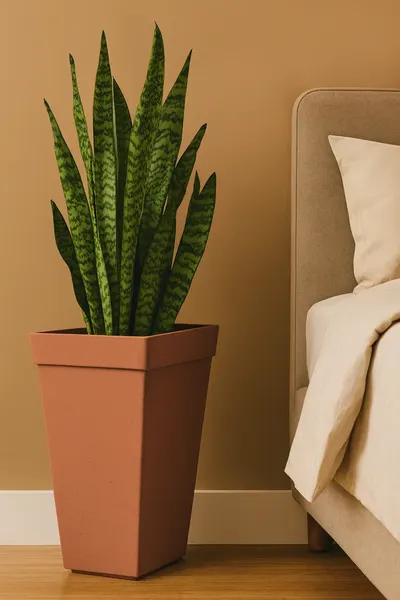 Изображение товара Кашпо Multy Home Symphony EU5100477 (терракот)