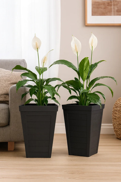 Изображение товара Вазон Multy Home Savana Planks EU5100557 (черный)