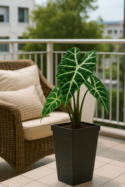 Изображение товара Вазон Multy Home Savannah EU5100614 (сланец)