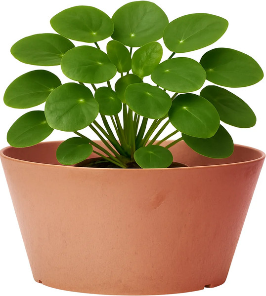 Изображение товара Вазон Multy Home Octavia EU5100508 (терракот)