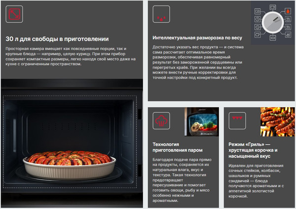 Изображение товара Ростер Steba DG 30