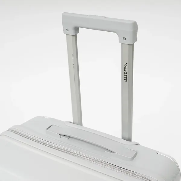 Изображение товара Чемодан на колесах Valigetti 344-8022/2-20SLV (серебристый)