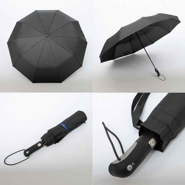 Изображение товара Зонт складной Rain Berry 734-7371T-BLK (черный)