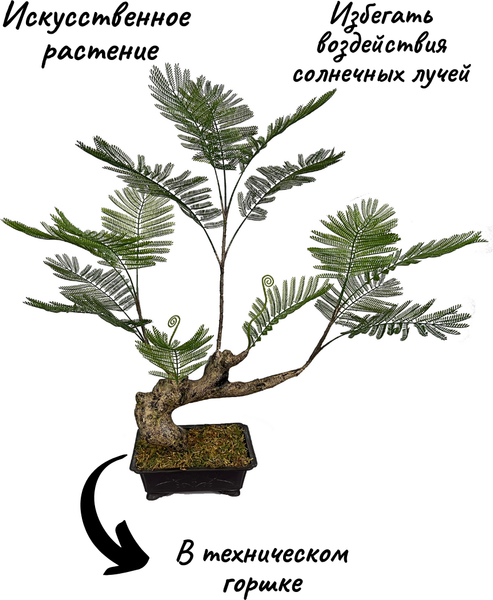 Изображение товара Искусственное растение Merry Bear Home Decor Жакаранда Мимозолистная AY909095