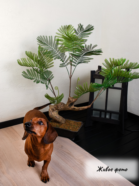 Изображение товара Искусственное растение Merry Bear Home Decor Жакаранда Мимозолистная AY909095