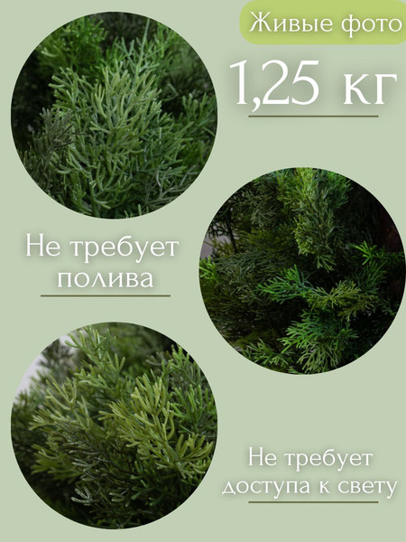 Изображение товара Искусственное растение Merry Bear Home Decor Туя шаровидная без горшка / AQ67060