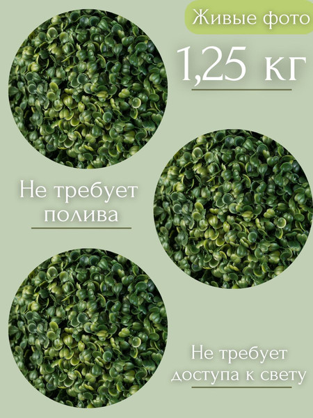 Изображение товара Искусственное растение Merry Bear Home Decor Самшит шаровидный без горшка A048063