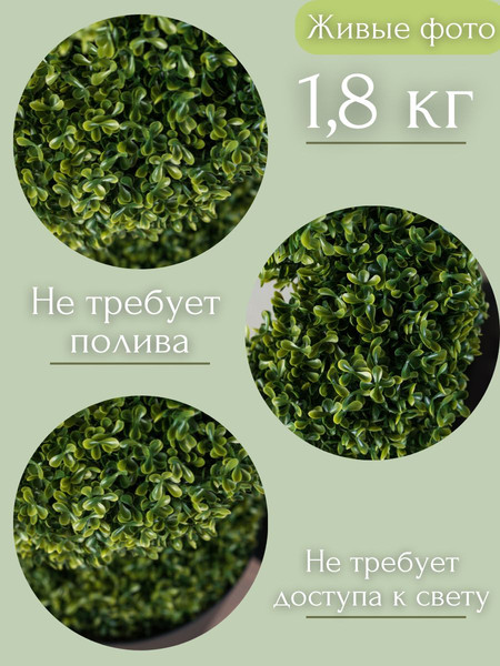 Изображение товара Искусственное растение Merry Bear Home Decor Самшит спиралевидный без горшка / A024090