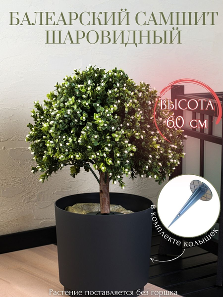 Изображение товара Искусственное растение Merry Bear Home Decor Самшит балеарский шаровидный цветущий без горшка / AQ69060