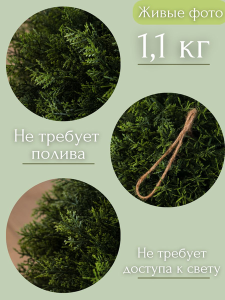 Изображение товара Искусственное растение Merry Bear Home Decor Туя шаровидная подвесная / AQ95305