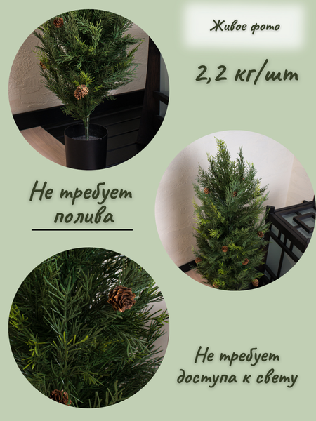Изображение товара Искусственное растение Merry Bear Home Decor Туя западная смарагд с шишками / A086093