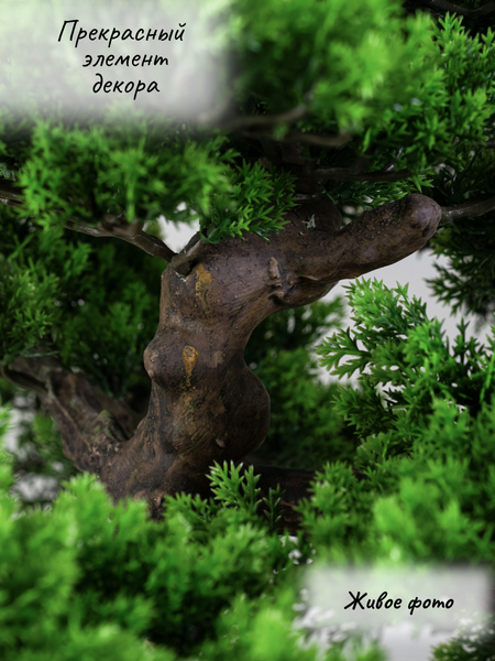 Изображение товара Искусственное растение Merry Bear Home Decor Бонсай игольчатый большой в горшке / PC-037