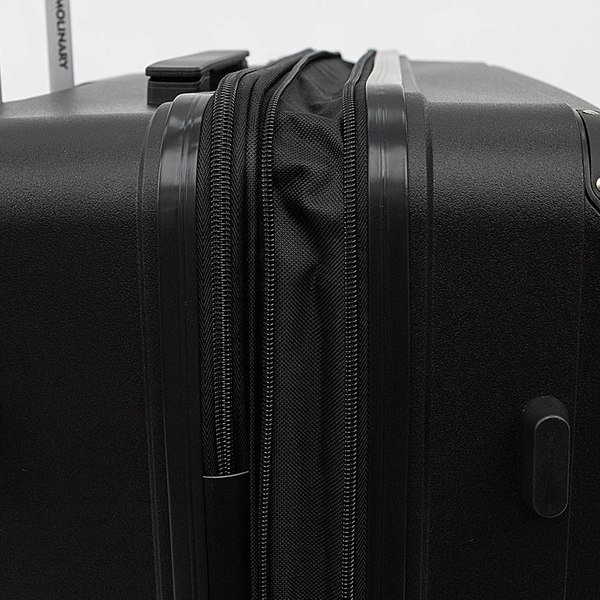Изображение товара Чемодан на колесах Francesco Molinary 197-PP1906/3/28BLK (черный)