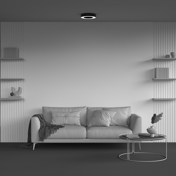 Изображение товара Потолочный светильник Maytoni C093CL-24W3K-B