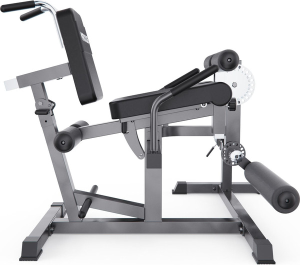 Изображение товара Силовой тренажер DFC Maxxus GSMX-600025-00019-0001